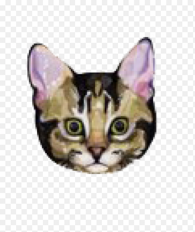 Pop cat png без фона