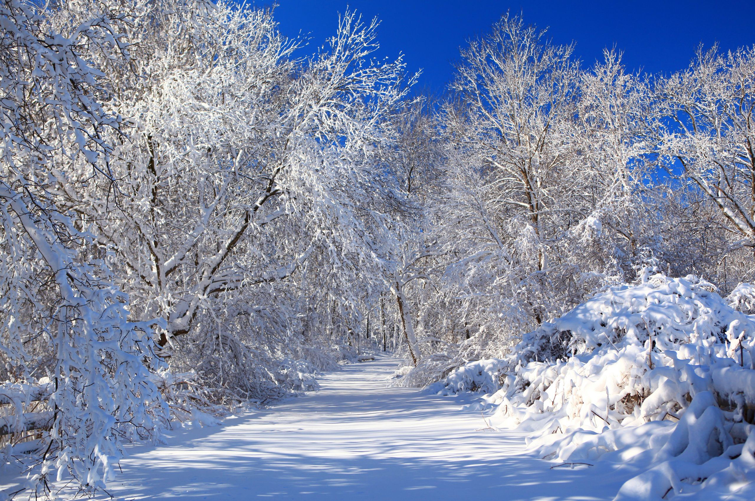 Картинки зима красивые. Зима. Зимняя природа. Зимние обои. Красивая зима.