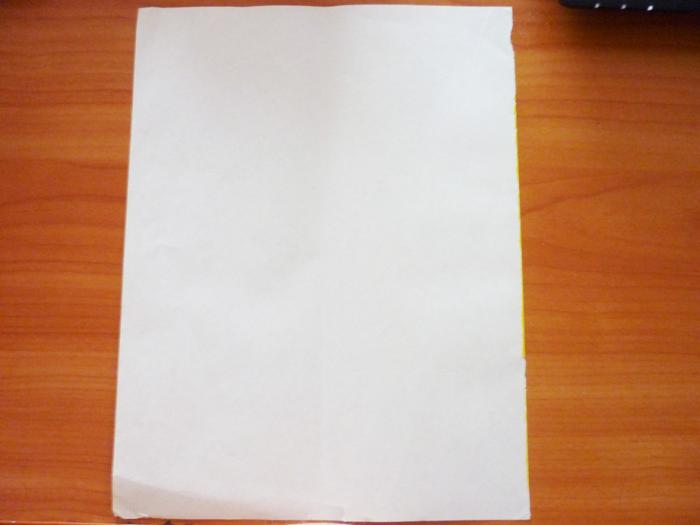 Лист а4 картинка. Лист бумаги а4. Лист бумаги на столе. Лист бумаги а4 на столе. Чистый бумажный лист.