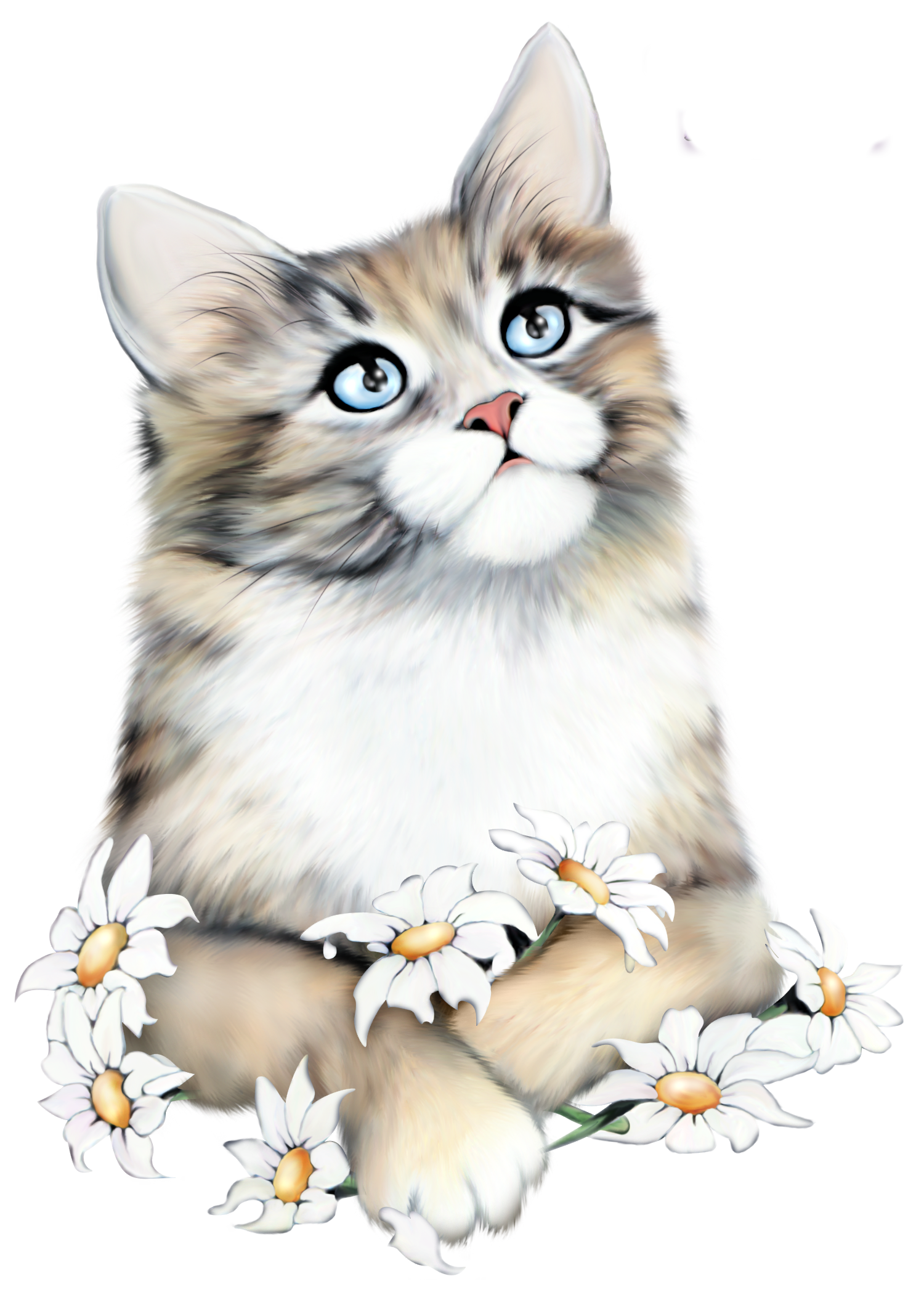 Красивый Котенок На Прозрачном Фоне