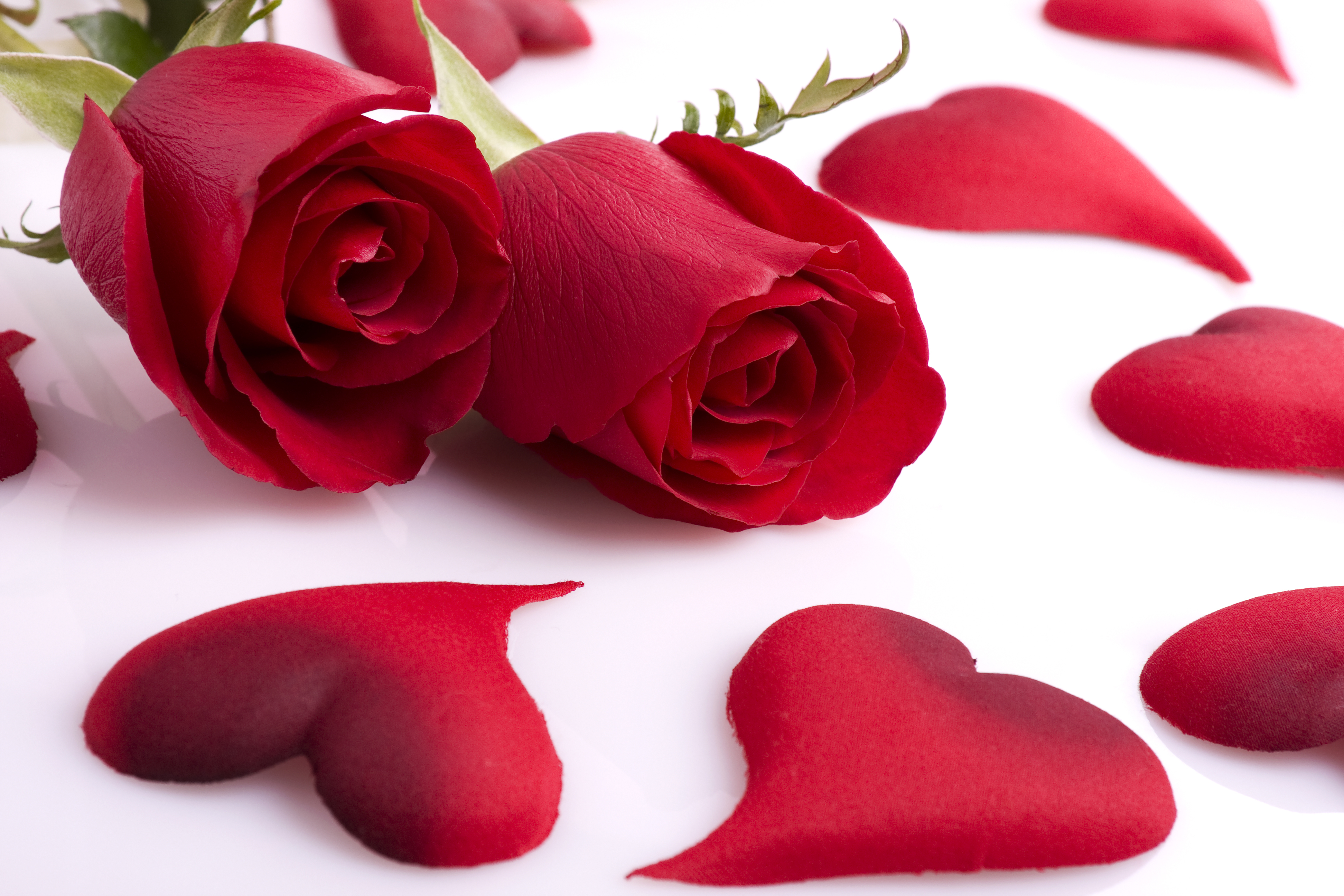 Розочки любимые. Цветы сердечки. Красивые романтические цветы. Романтические розы. Романтические цветы для девушки.