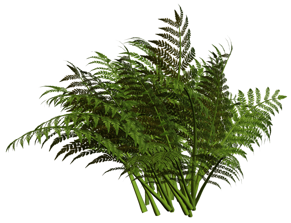 Ш№Щ€Ш§Щ…Ш© Ш§Щ†Щ‚Ш§Ш° Щ…Ш±ЩѓШЁ PNG