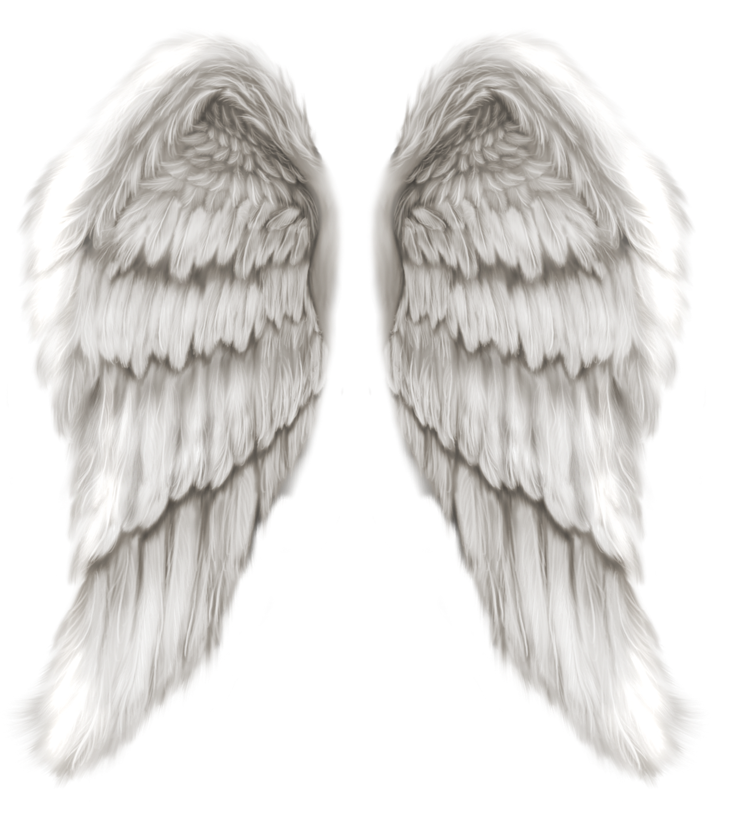 Крылья ангела сбоку. Ангел с крыльями. Крылья ангела на прозрачном фоне. Белые Крылья. Крыло ангела читать