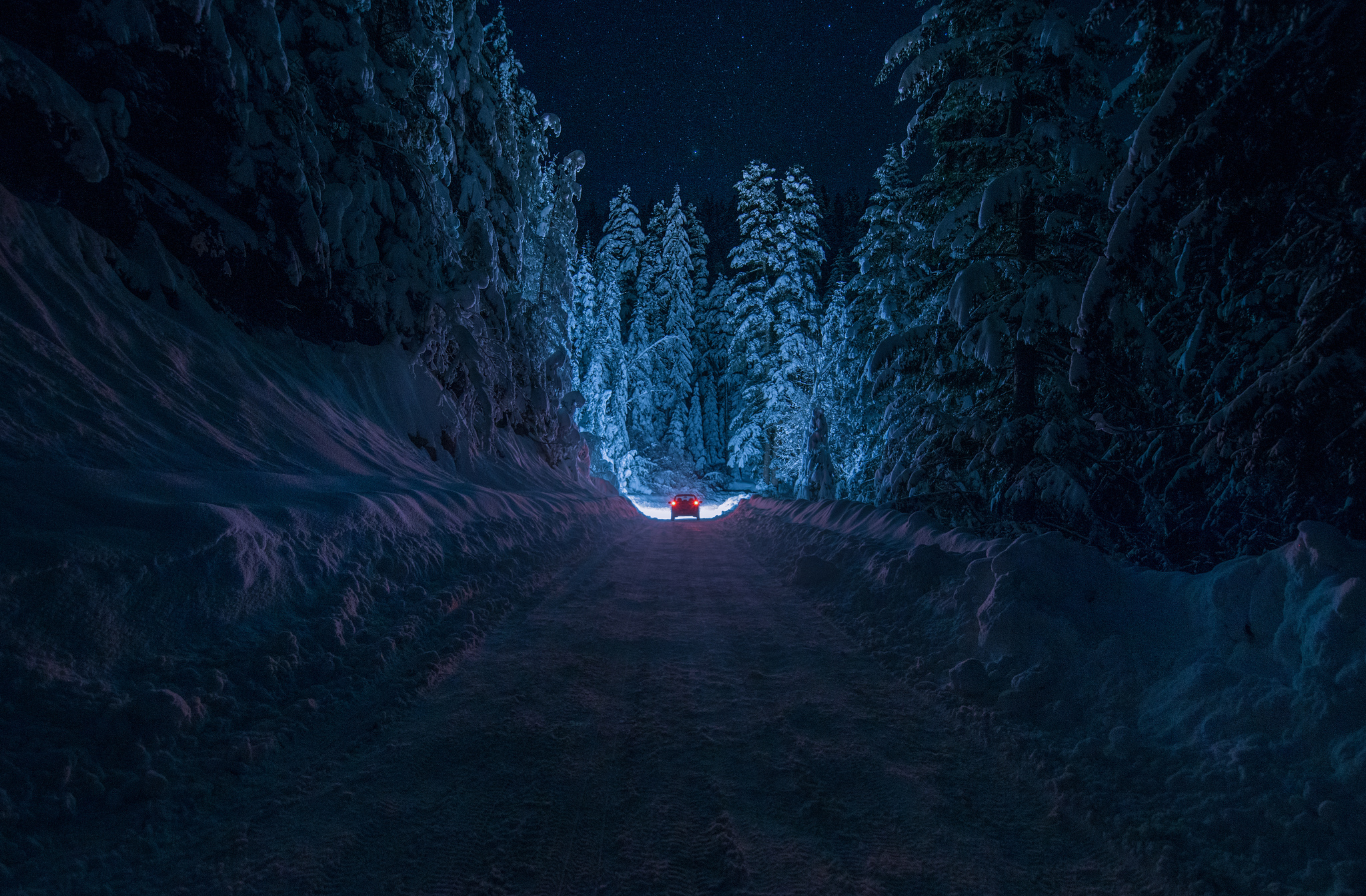 Light off dark. Зимний лес ночью. Заснеженный лес ночью. Дорога зима ночь. Зимняя дорога ночью.
