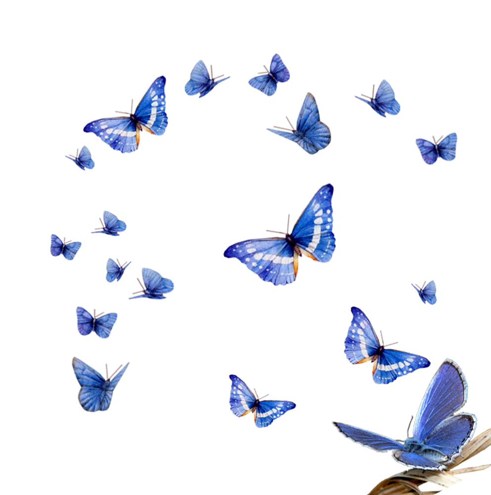 Прозрачная бабочка пнг. Много бабочек на прозрачном фоне. ФО О бабочки прозрачной. Бабачкина прозрачном фоне. Красивые бабочки на прозрачном фоне.