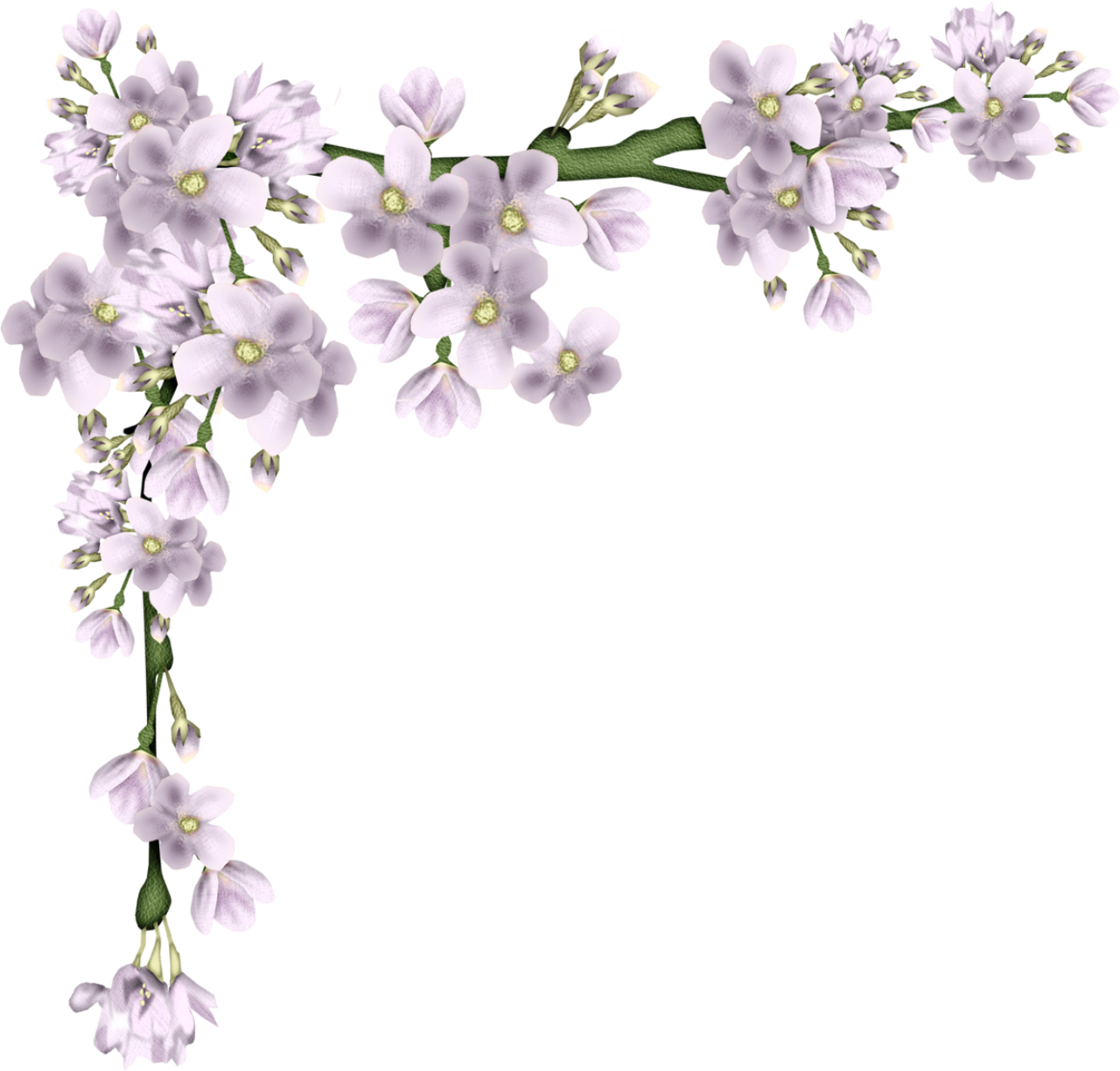 Цветы для оформления весны. Красивая веточка. Красивые цветы на прозрачном фоне для фотошопа. Ветка цветов. Весенние цветы на прозрачном фоне для фотошопа.
