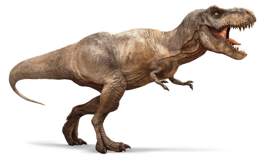 Тираннозавр рекс. Зухомим и Тираннозавр. Тираннозавр тираннозавриды. Тираннозавр парк Юрского.