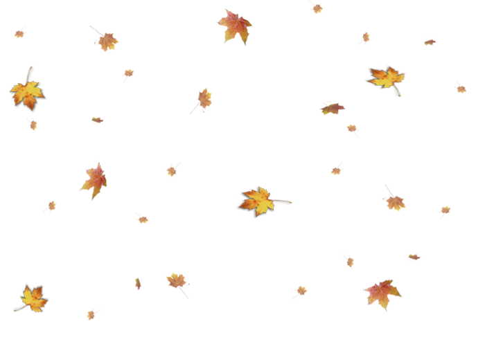 Фото Падающих Осенних Листьев