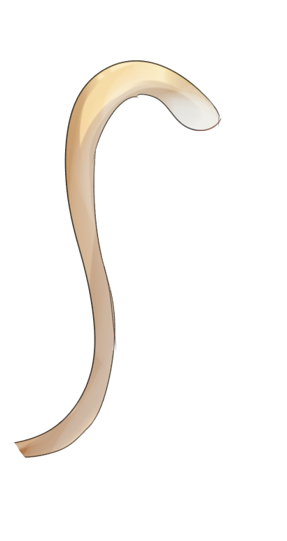 Наклейка Хвост, Кошачий PNG - AVATAN PLUS