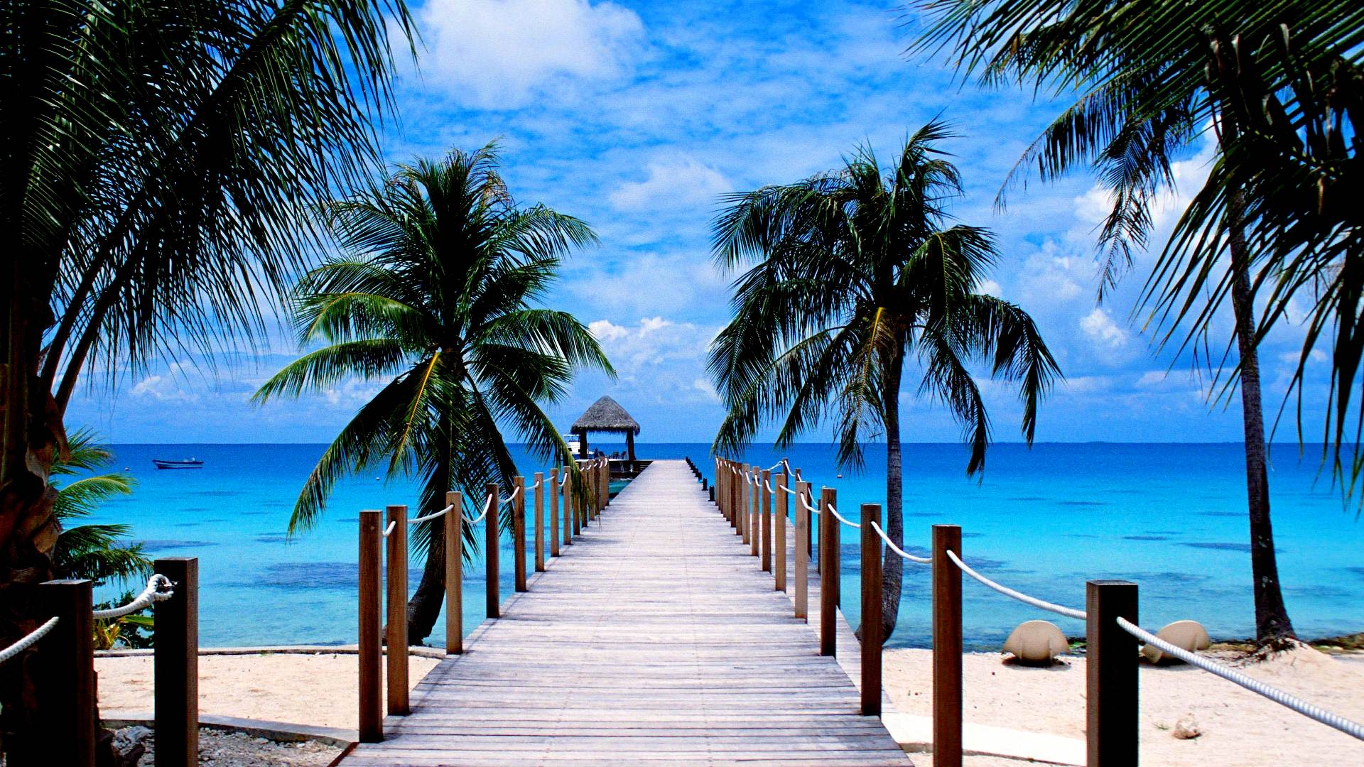 Paradise. Море пляж. Райский пляж. Красивый пляж на рабочий стол. Пальмы и океан.