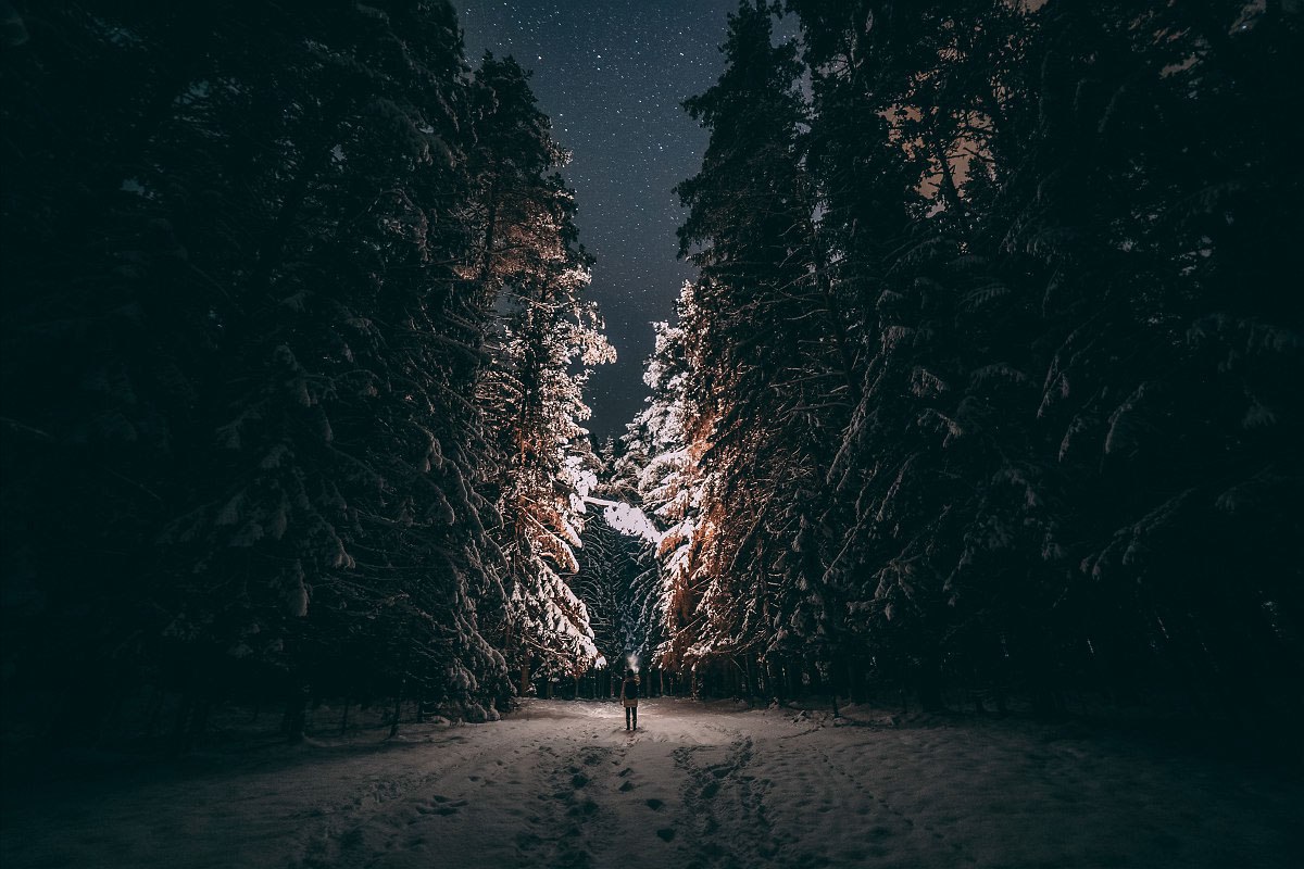 Ночной тропой постой а можно. Зимний лес ночью. Ночной лес. Лес зимой ночью. Ночная зимняя тропинка.