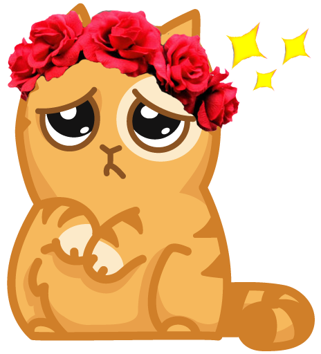 Кот Персик Плачет