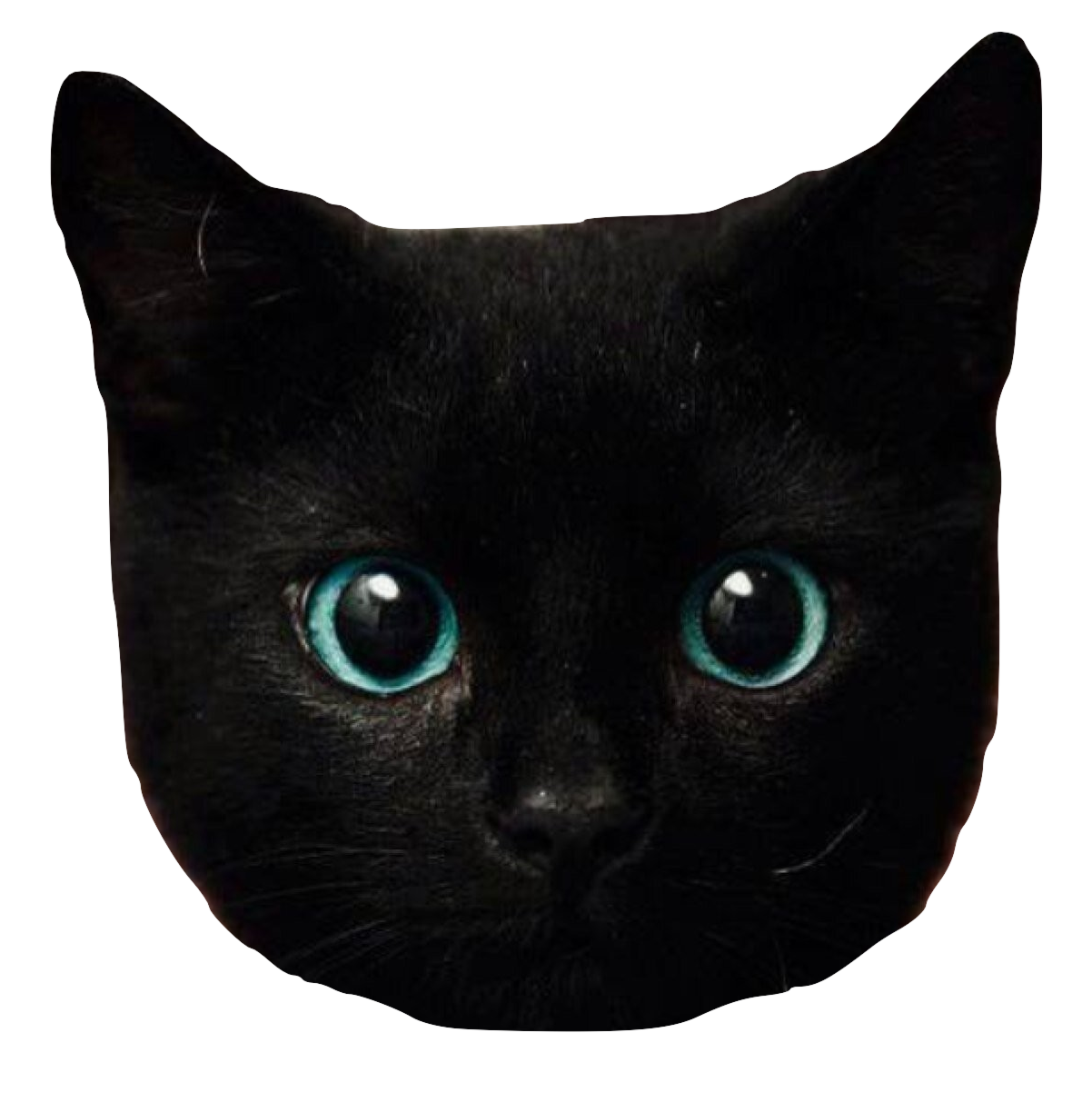 Котенок хромакей