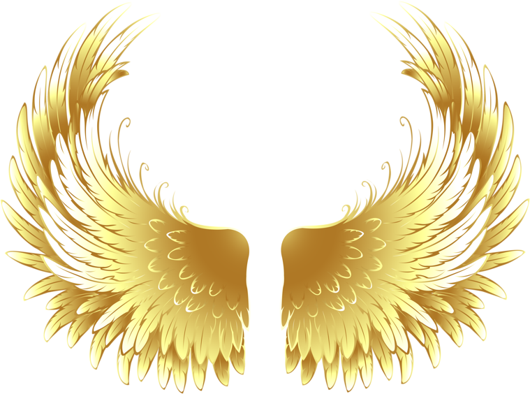 Золотистые крылья. Золотые Крылья ангела. Крылья клипарт. Крылья на прозрачном фоне.
