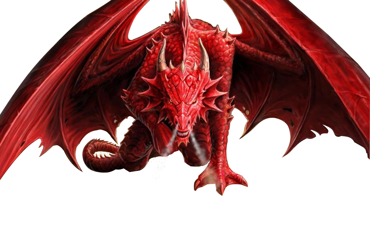 Дракон 2024 пнг. Дракон. Красный дракон. Дракоконы на белом фоне. Красный дракон на белом фоне.