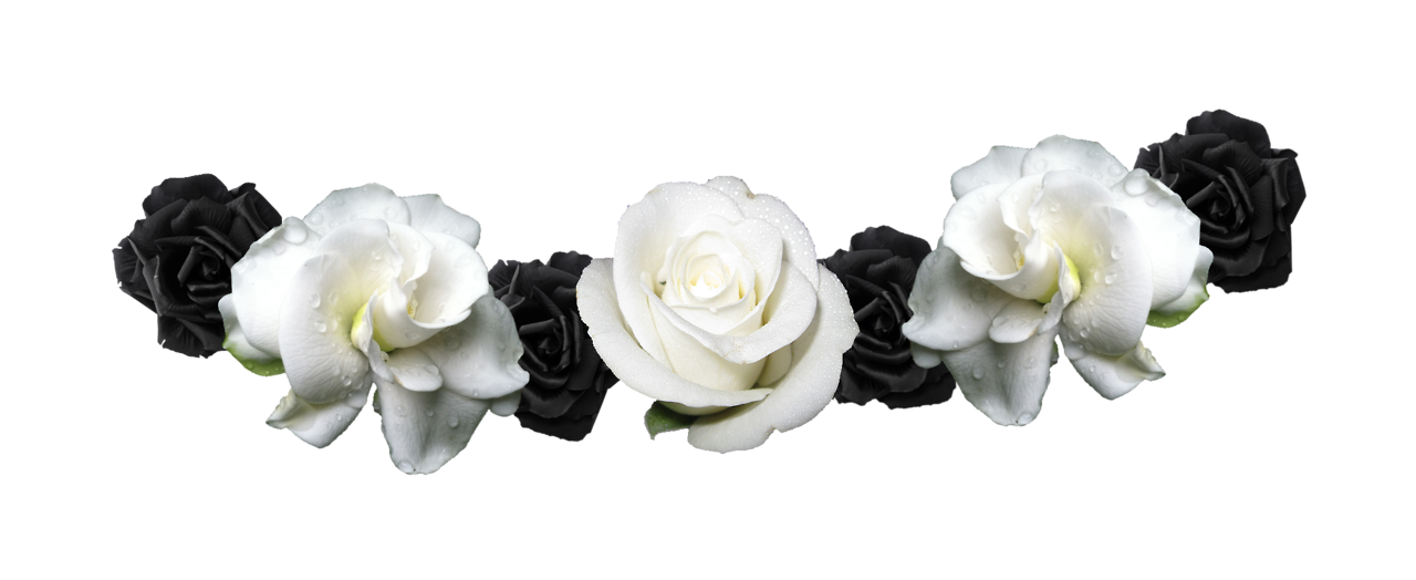 Черно белый ободок. Венок из роз на белом фоне. Ободок из цветов на прозрачном фоне. Венки из роз без фона. Ободок с цветами на белом фоне.