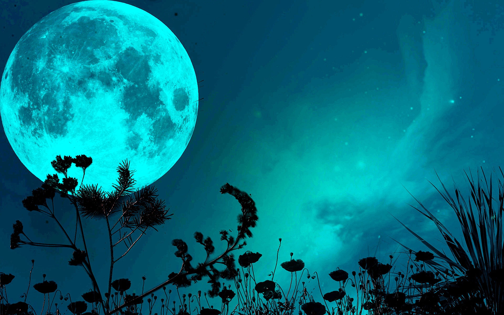 Лунный свет днем. Ночь Луна. Лунное небо. Красивая Луна. Ночная Луна.