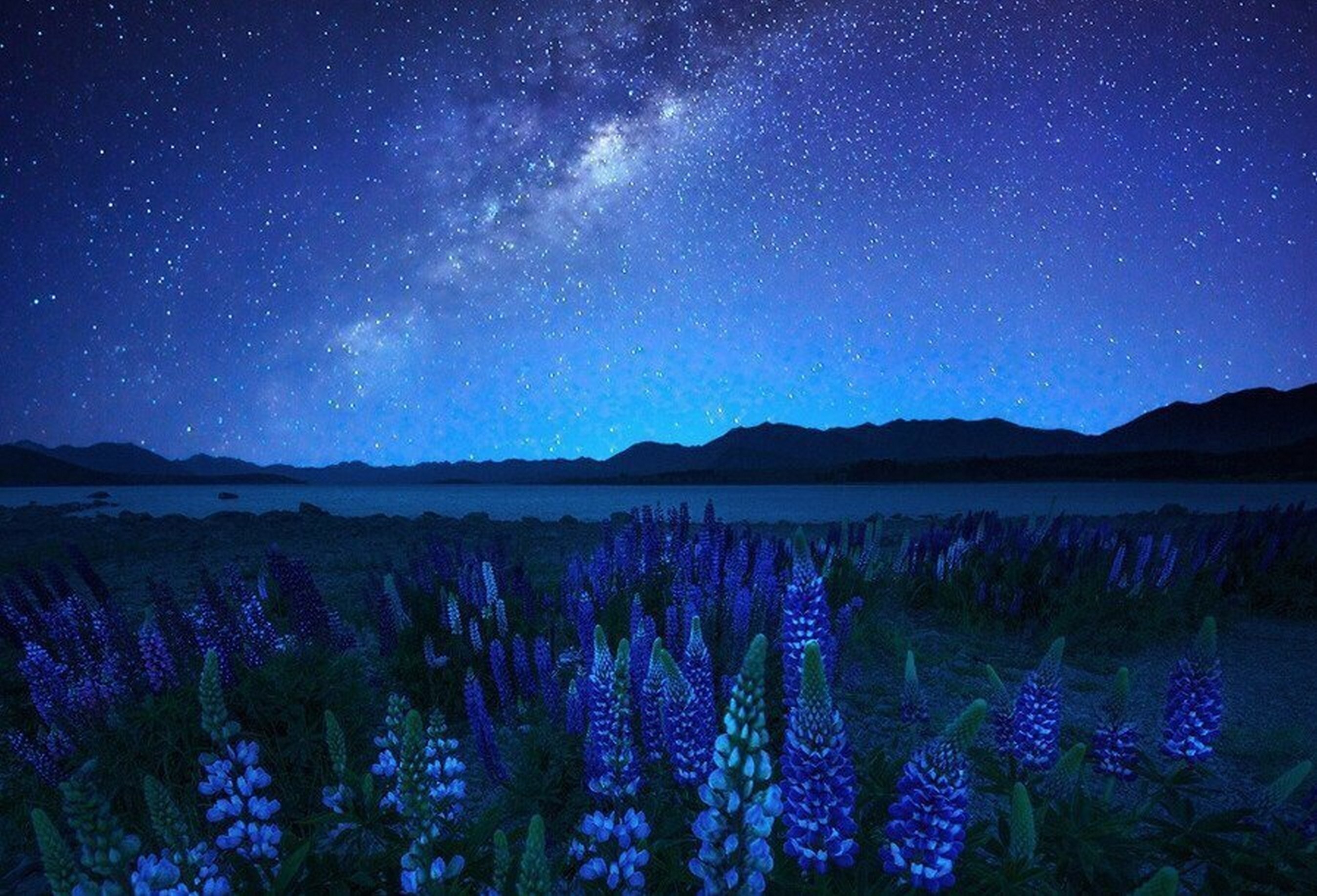 Цветная ночь. Озеро Текапо новая Зеландия ночное небо. Ночная природа. Природа ночью. Поле ночью.