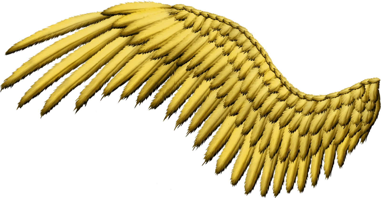 Золотые крылья 2. Крылья. Желтые Крылья. Золотые Крылья. Золотые Крылья на прозрачном фоне.