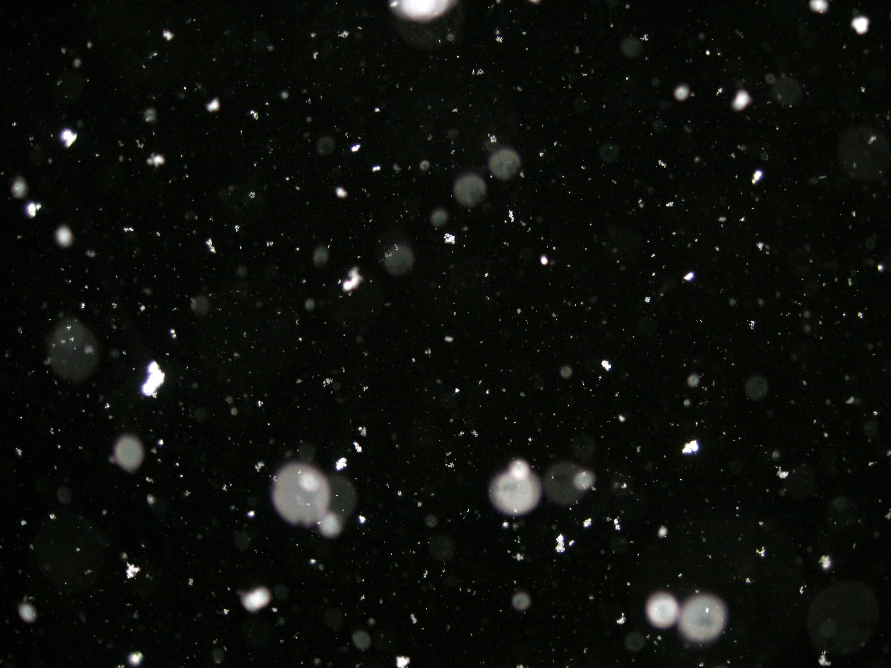 Снег пнг картинка