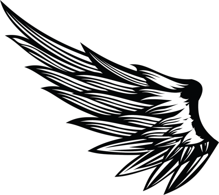 Пнг крылья рисунок