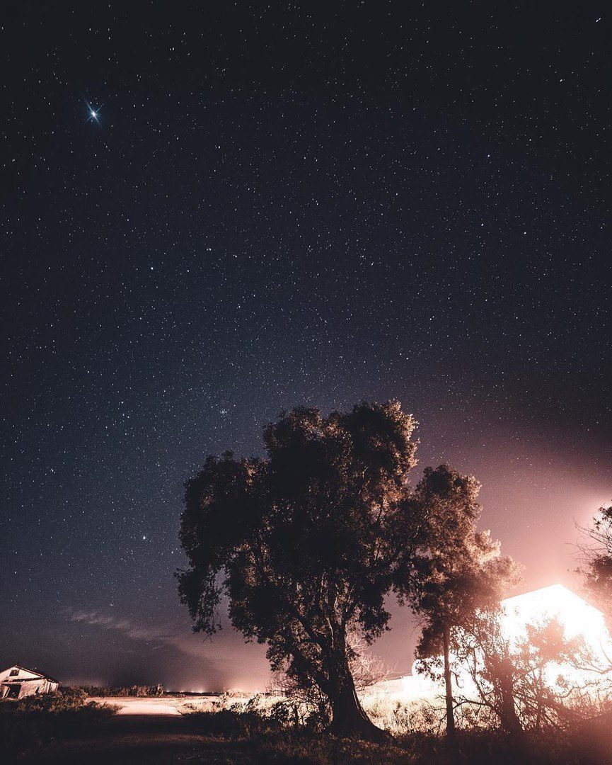 Ночная Звезда Фото
