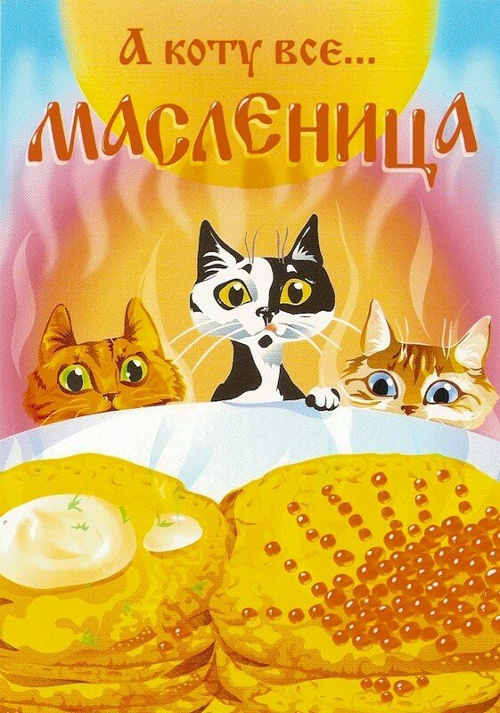 Масленица открытки с котом