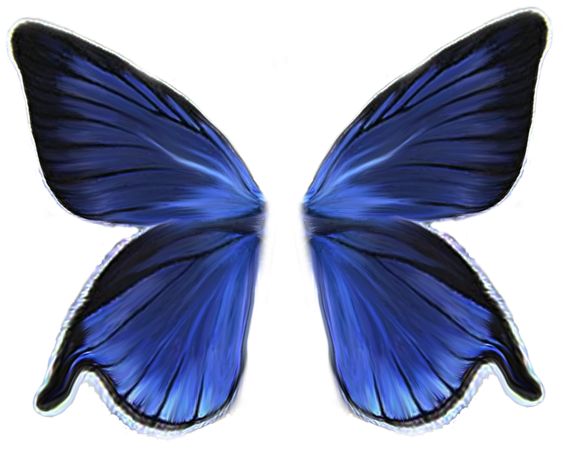 Сложенные крылья бабочки. Крылья бабочки. Крылья феи. Крылышки бабочки. Синие бабочки на прозрачном фоне.