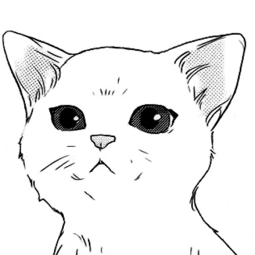 Черно белый котик рисунок