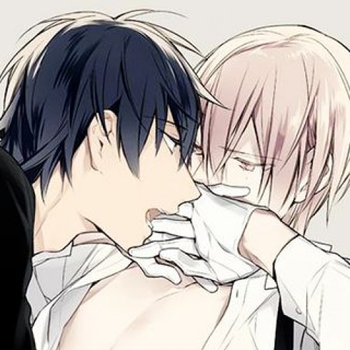 What is yaoi anime